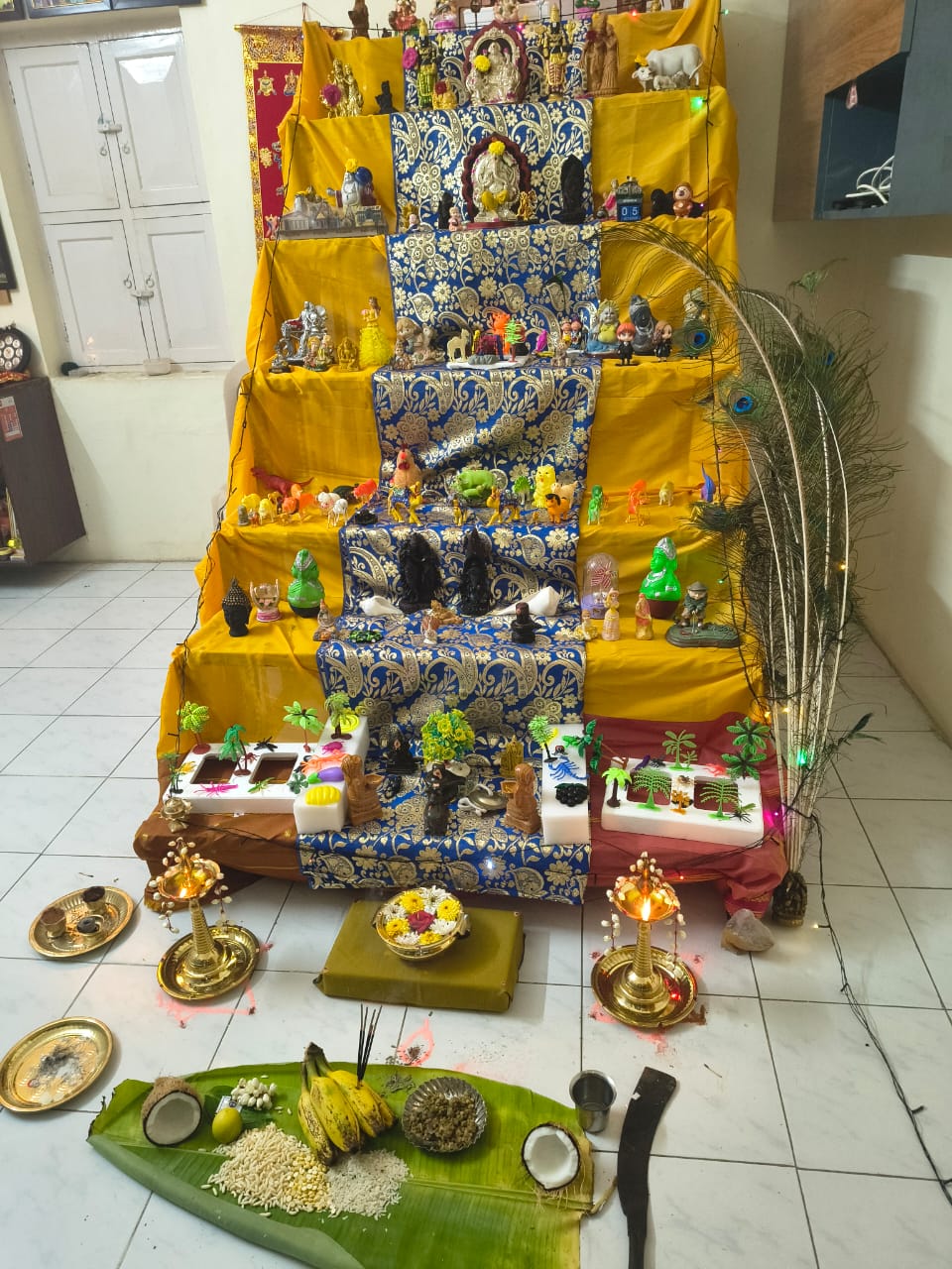 Kaliraj கொலு, Virudhunagar