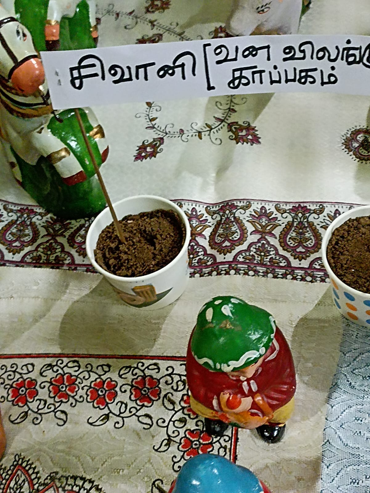 S. Latha கொலு, Ramanathapuram
