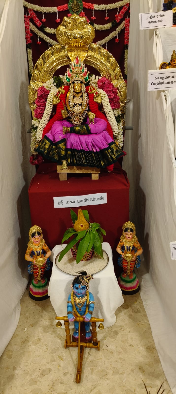 Selvam இல்லத்துக் கொலு, Thanjavur - படம் 3