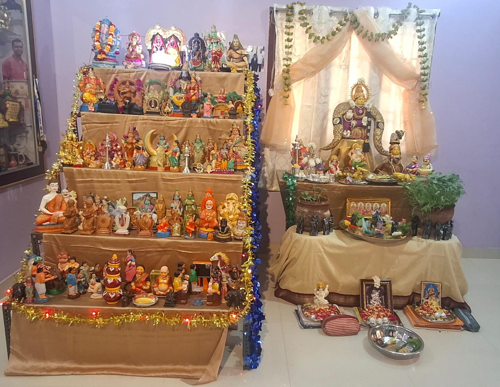 Puvana kannan கொலு, Tirunelveli
