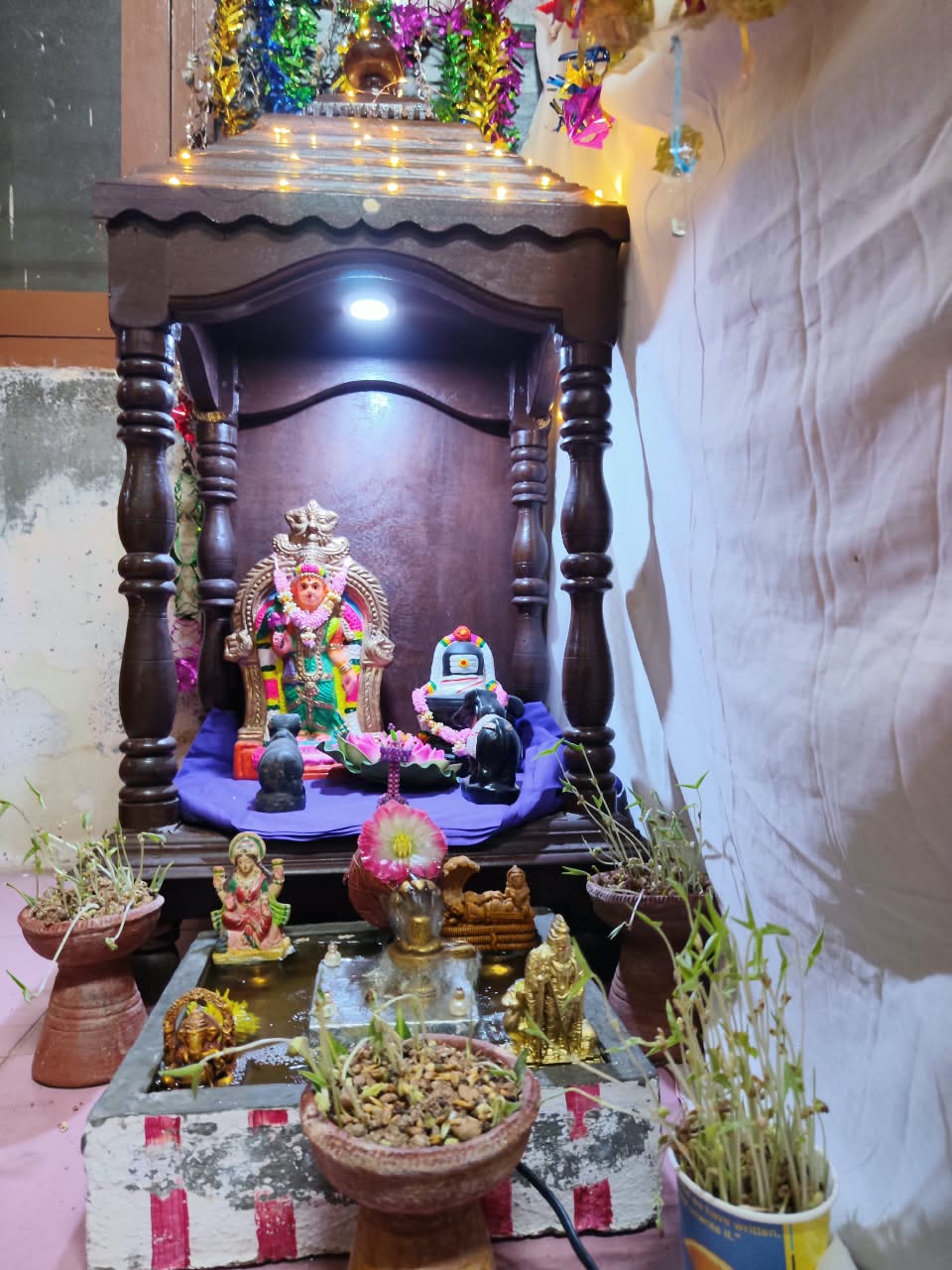 Udhayagiri இல்லத்துக் கொலு, Thoothukudi - படம் 3