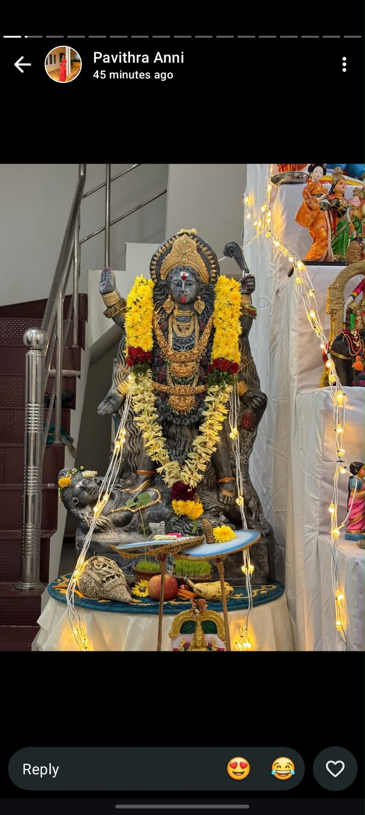 Pavithra இல்லத்துக் கொலு, Walajapet, Ranipet district - படம் 7