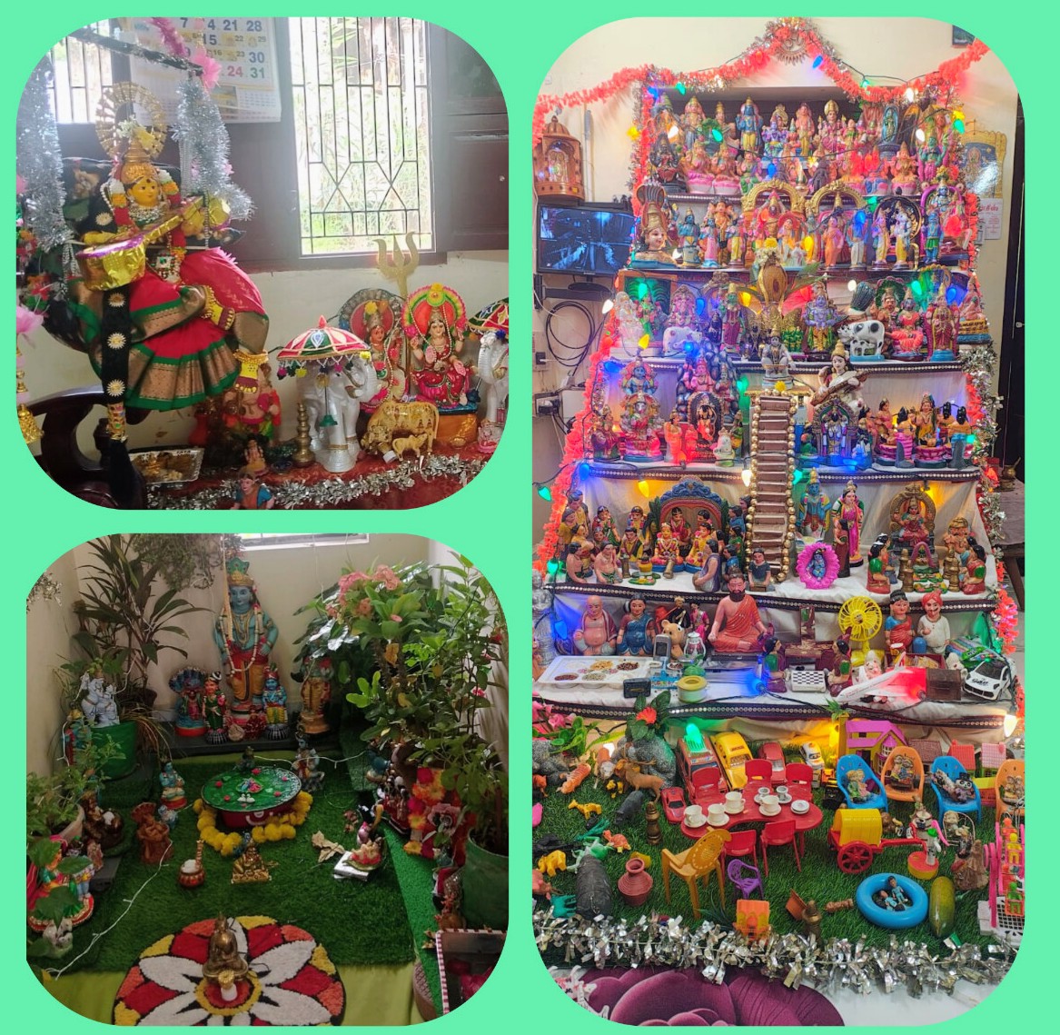 S. தான்வி கொலு, மதுரை