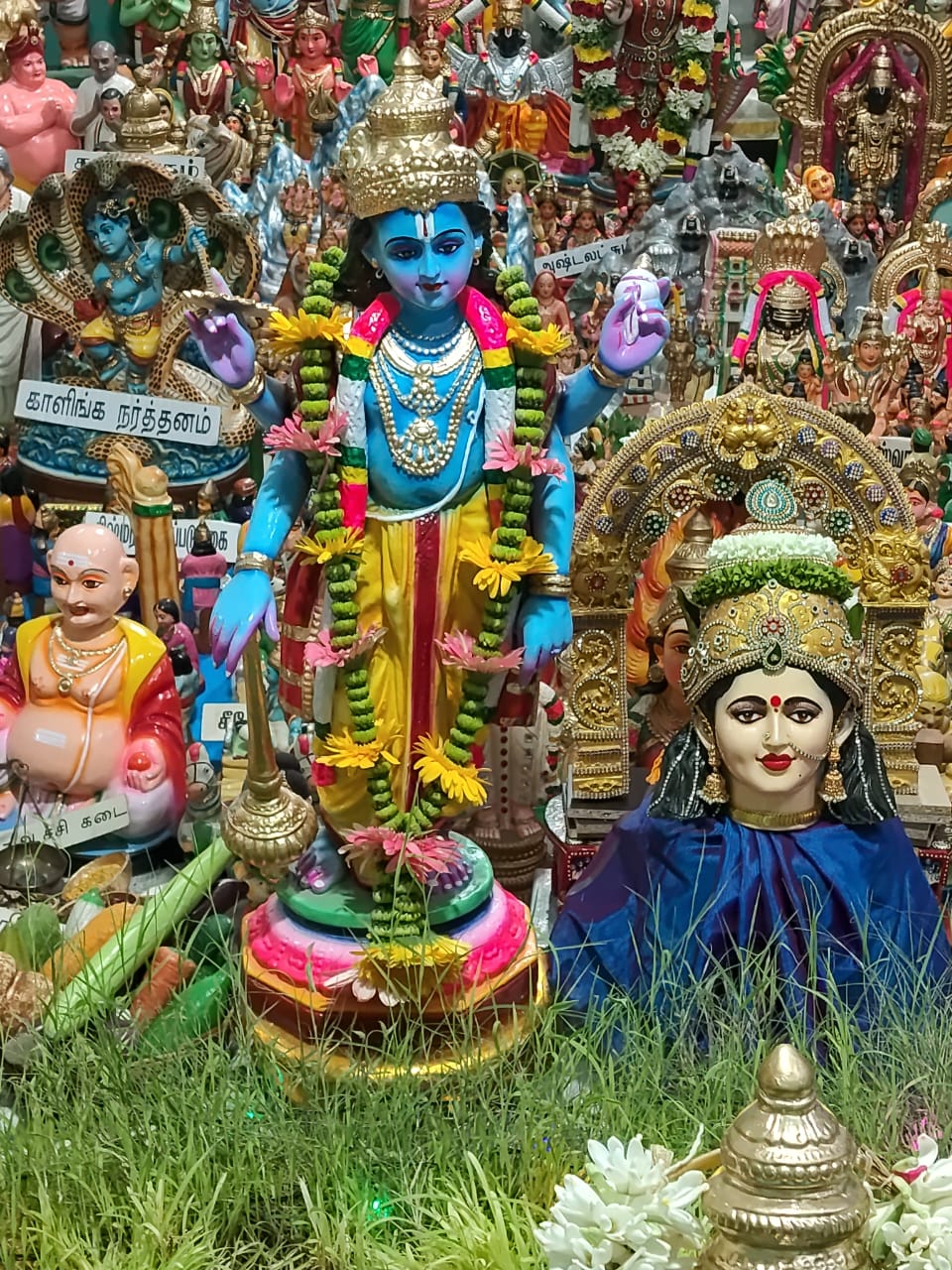 தினமலர் வாசகர் இல்லத்துக் கொலு, Virudhunagar district - படம் 4