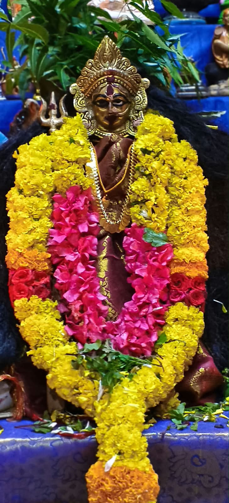 Gopika இல்லத்துக் கொலு, Kanyakumari - படம் 3