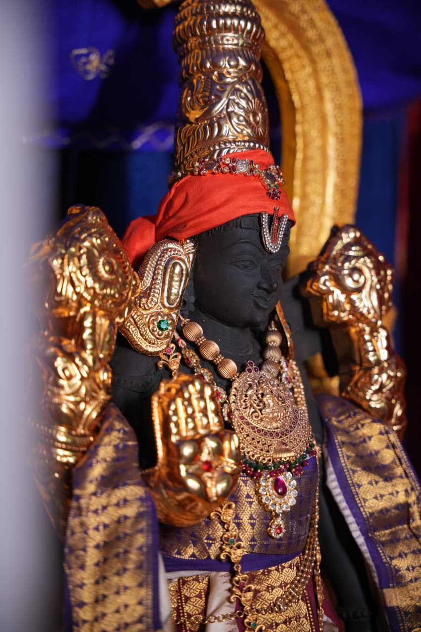 Aishwarya Sampath Kumar இல்லத்துக் கொலு, Chennai - படம் 14