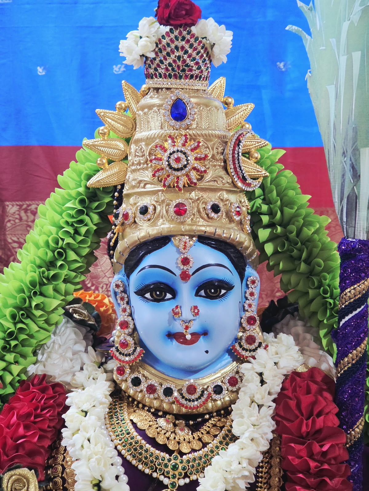 திவ்யா கொலு, Coimbatore