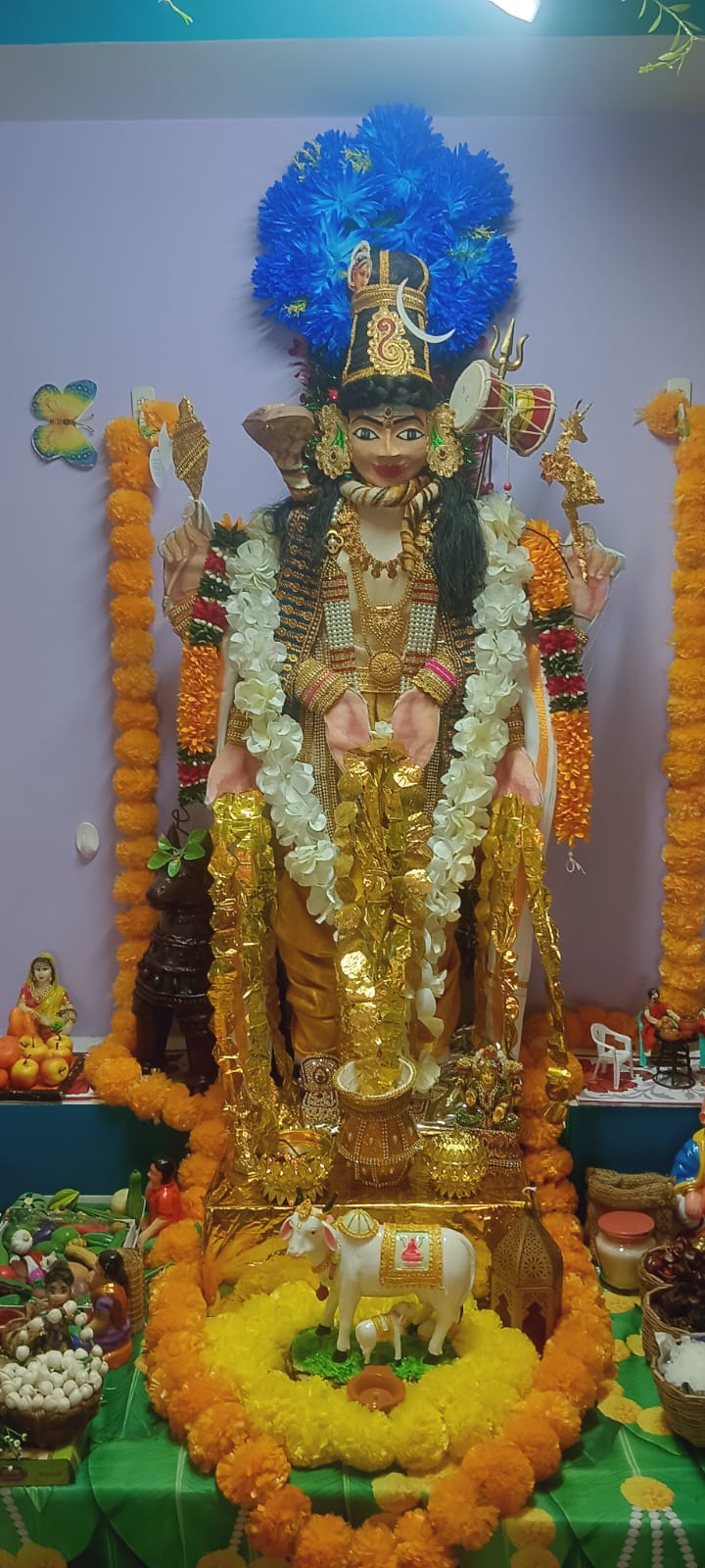 Vjai.rakshitha இல்லத்துக் கொலு, Pudukkottai - படம் 3