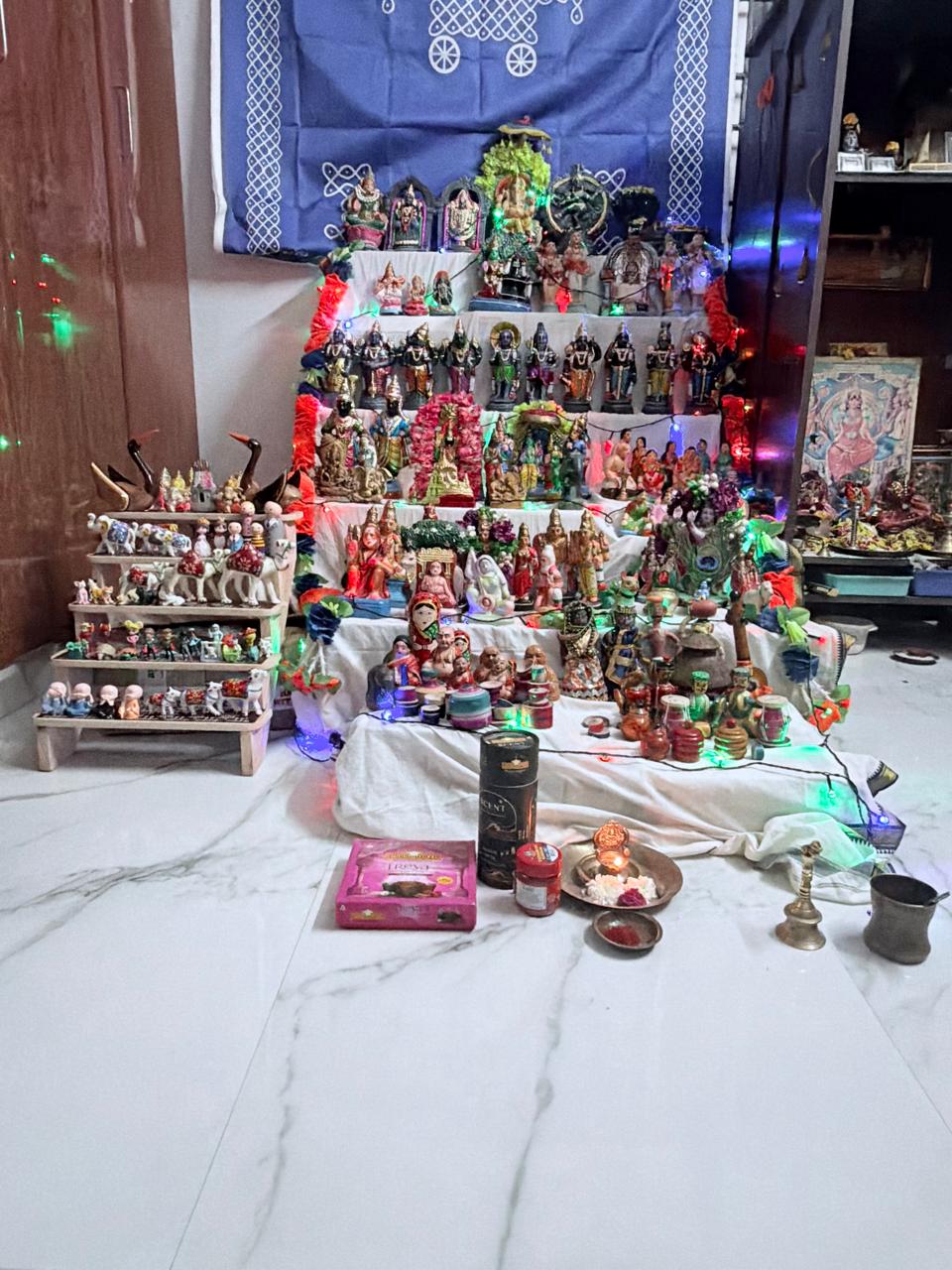 Narayan S கொலு, Chennai