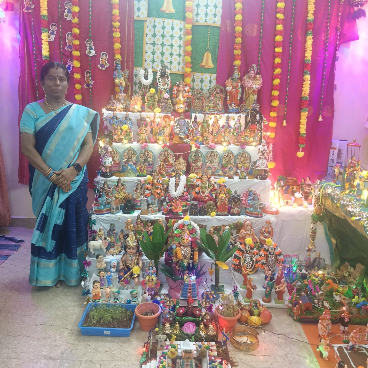 vijayasriram4515 இல்லத்துக் கொலு, Pondicherry - படம் 5