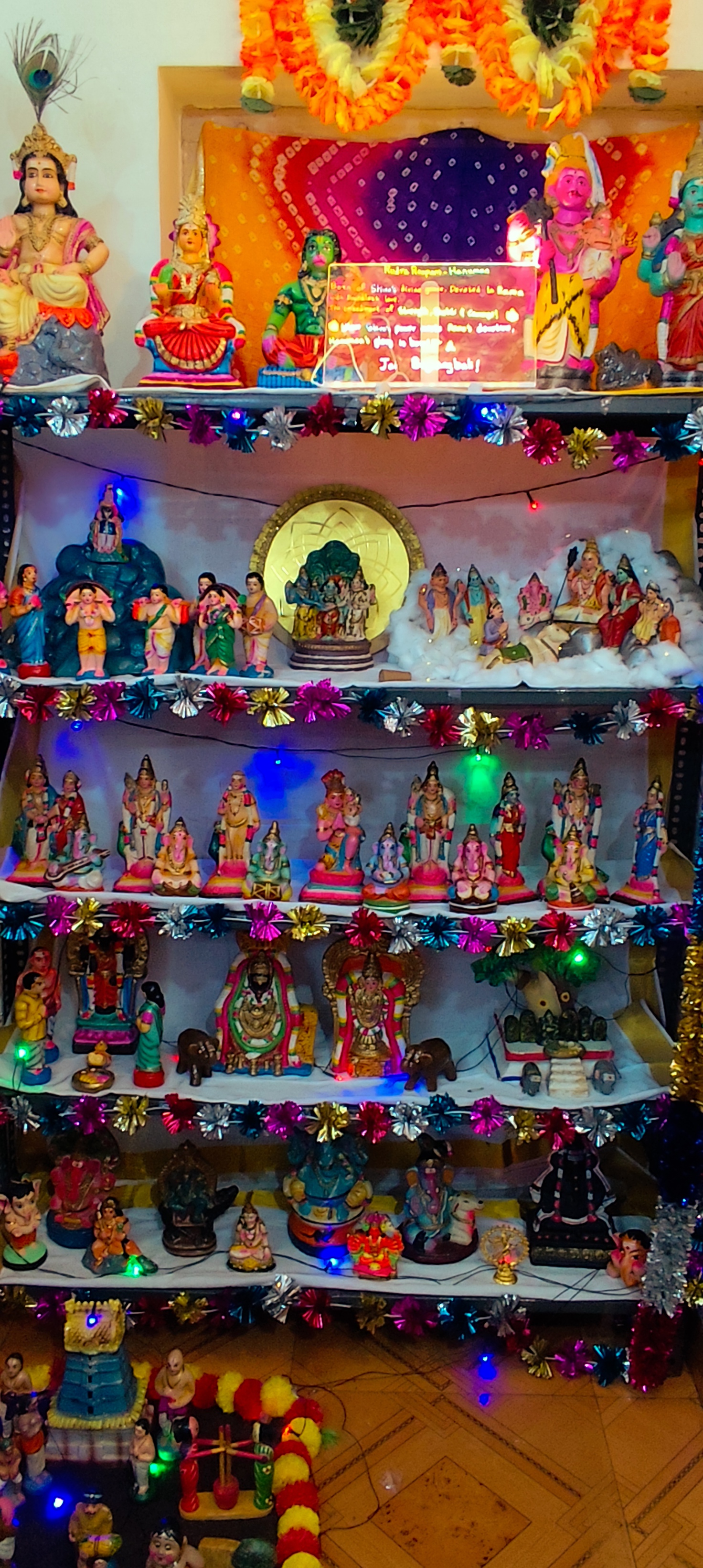 Viji இல்லத்துக் கொலு, சென்னை - படம் 3