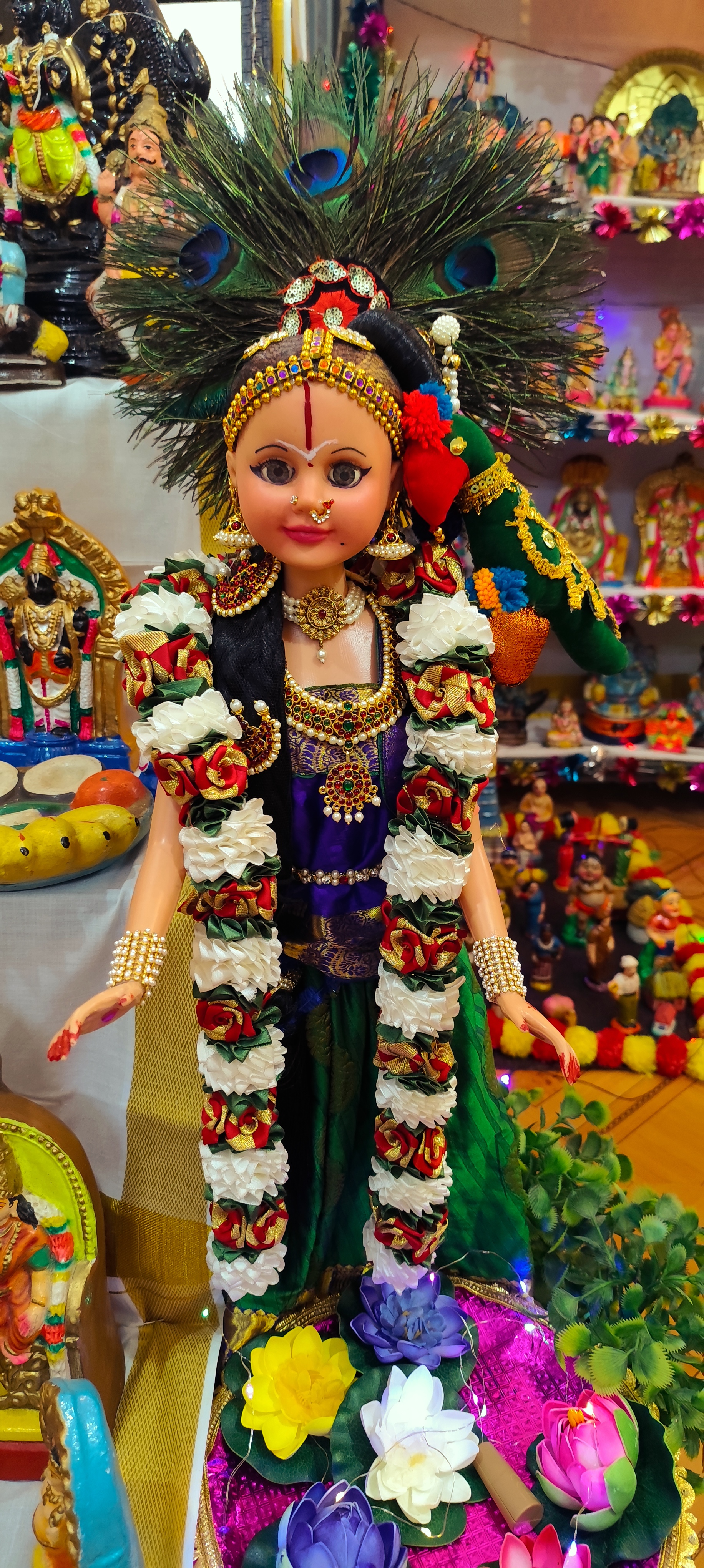 Viji இல்லத்துக் கொலு, சென்னை - படம் 4