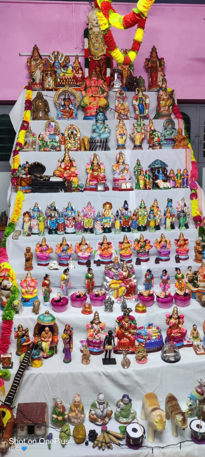 Jayalakshmi இல்லத்துக் கொலு, திருவண்ணாமலை - படம் 3