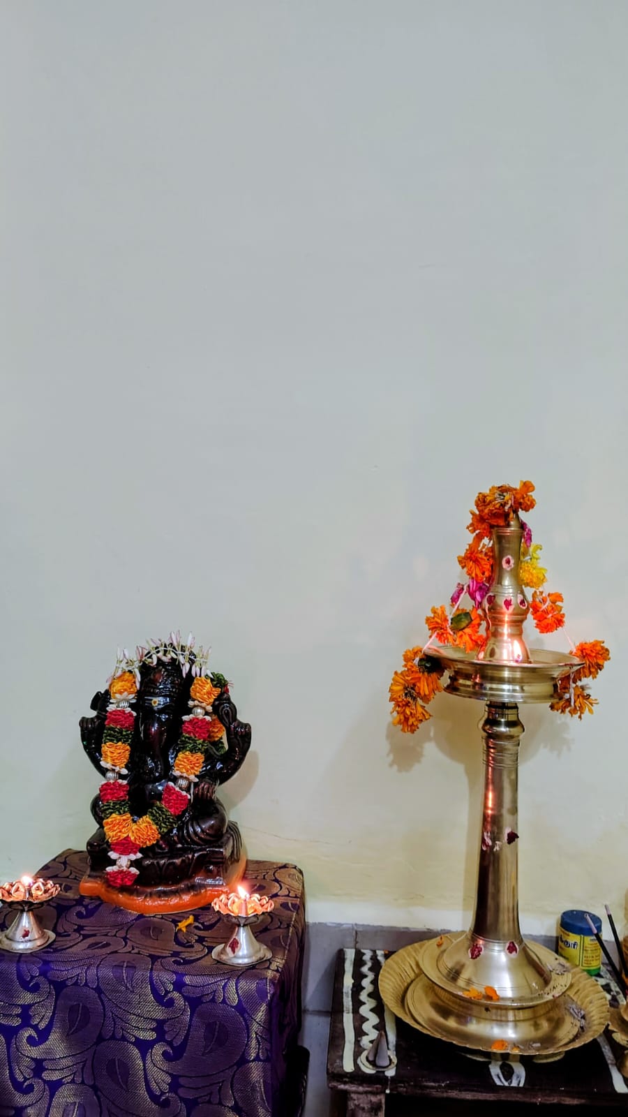 Anuja V.S இல்லத்துக் கொலு, Tirunelveli - படம் 4