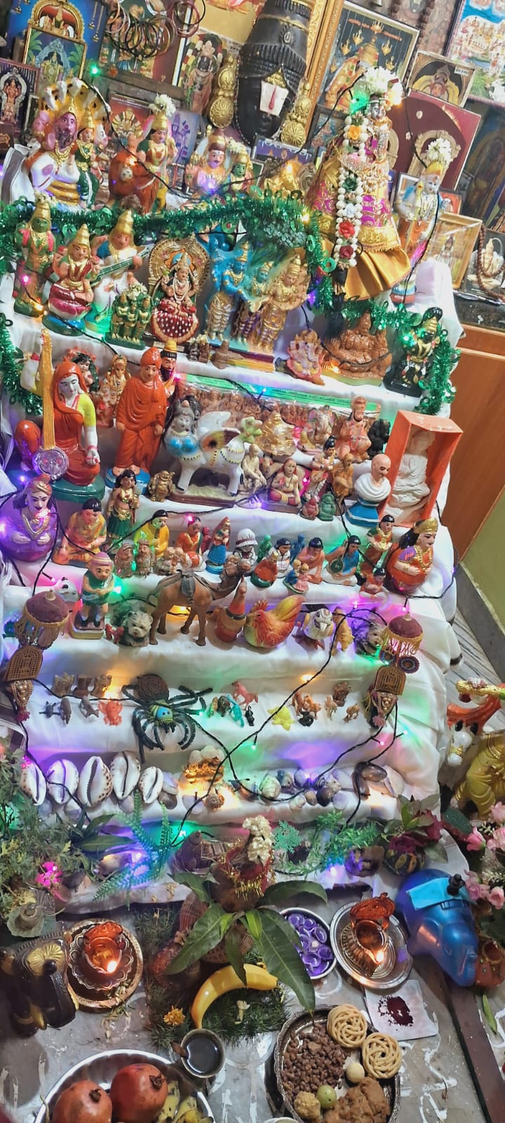Shanthi கொலு, Madurai