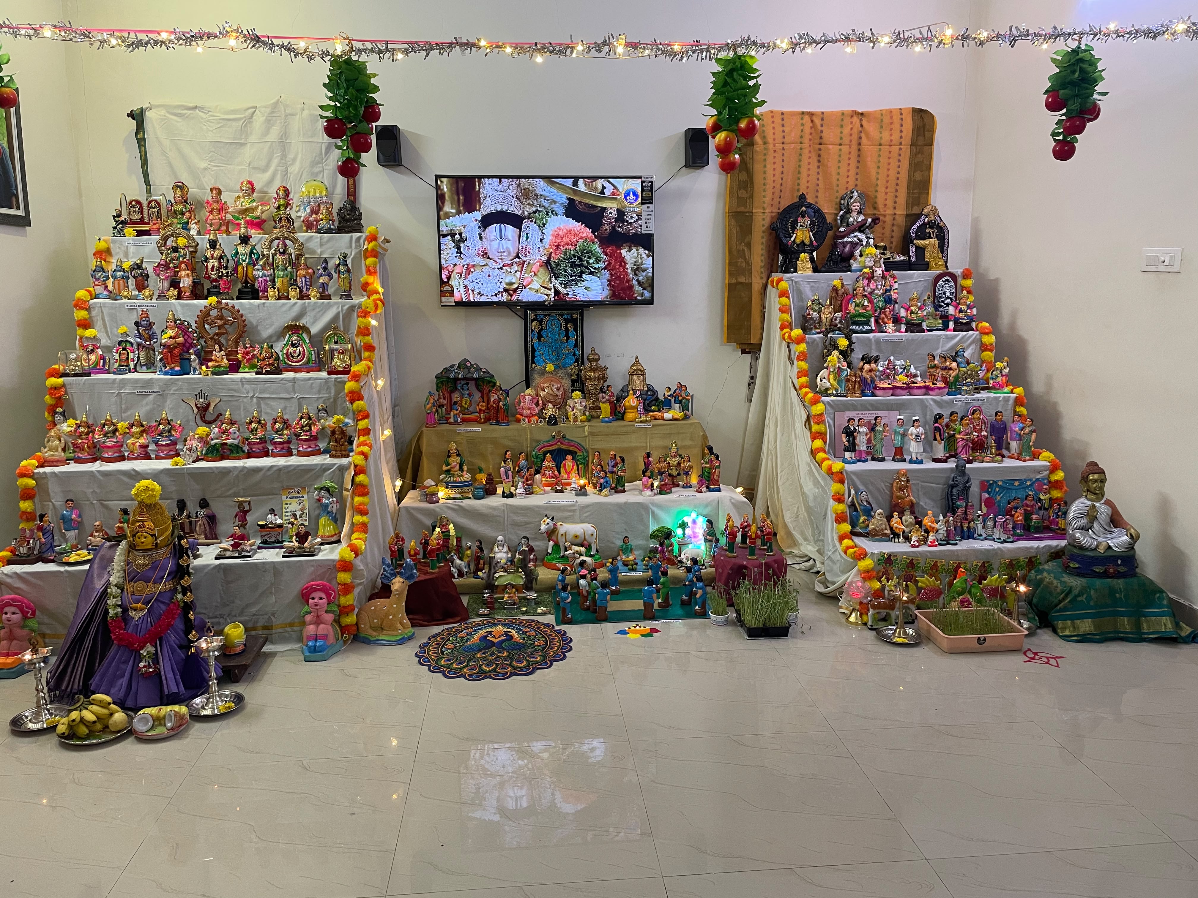 𝕽𝖊𝖉𝕾𝖚𝖗𝖋𝖊𝖗7 கொலு, திருவள்ளூர்