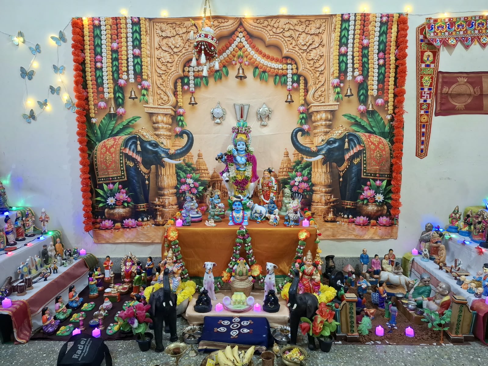 காயத்திரி .க கொலு, கிருஷ்ணகிரி
