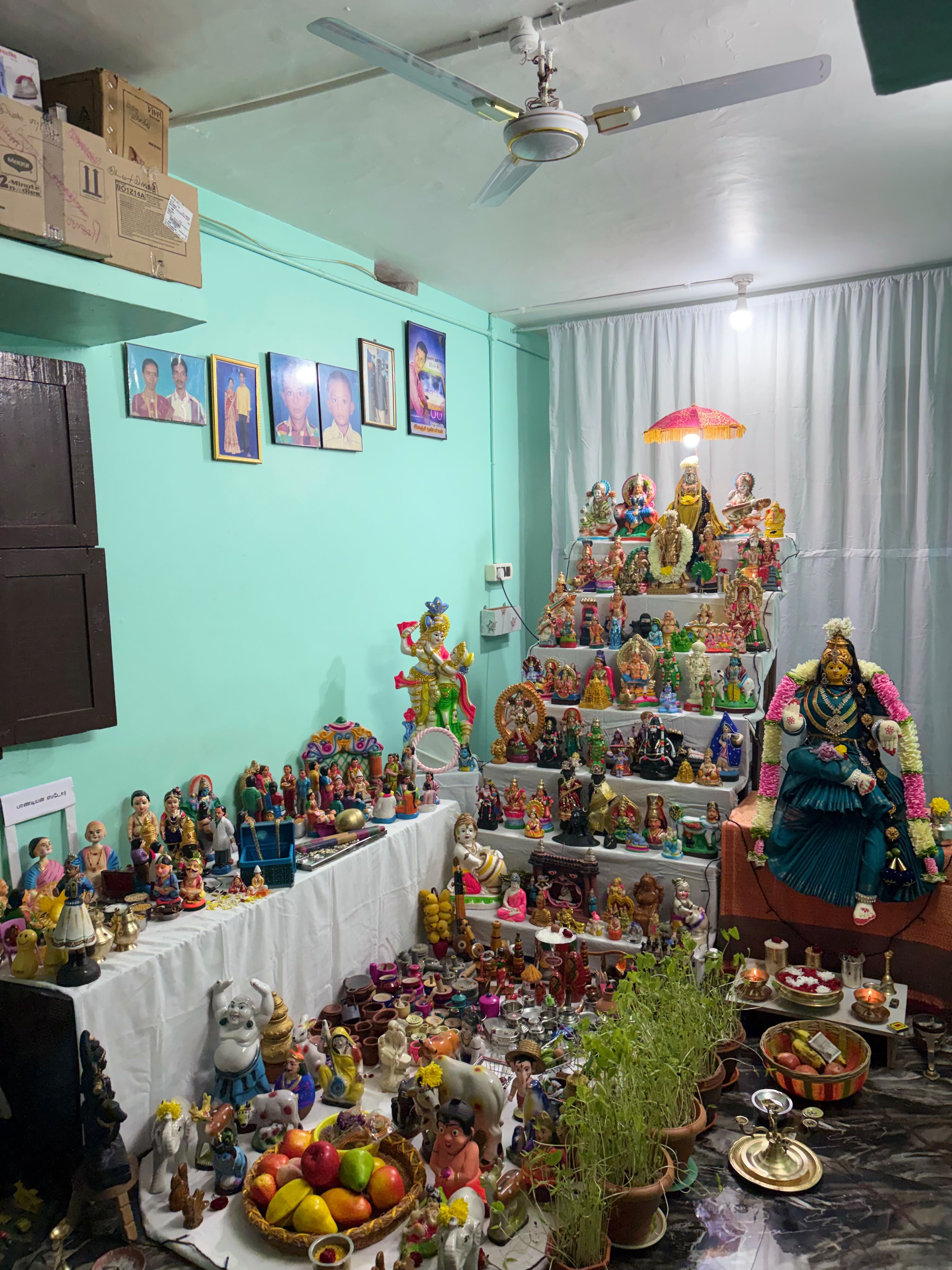 Name - Raju 
House name - karaiveedu கொலு, Tenkasi