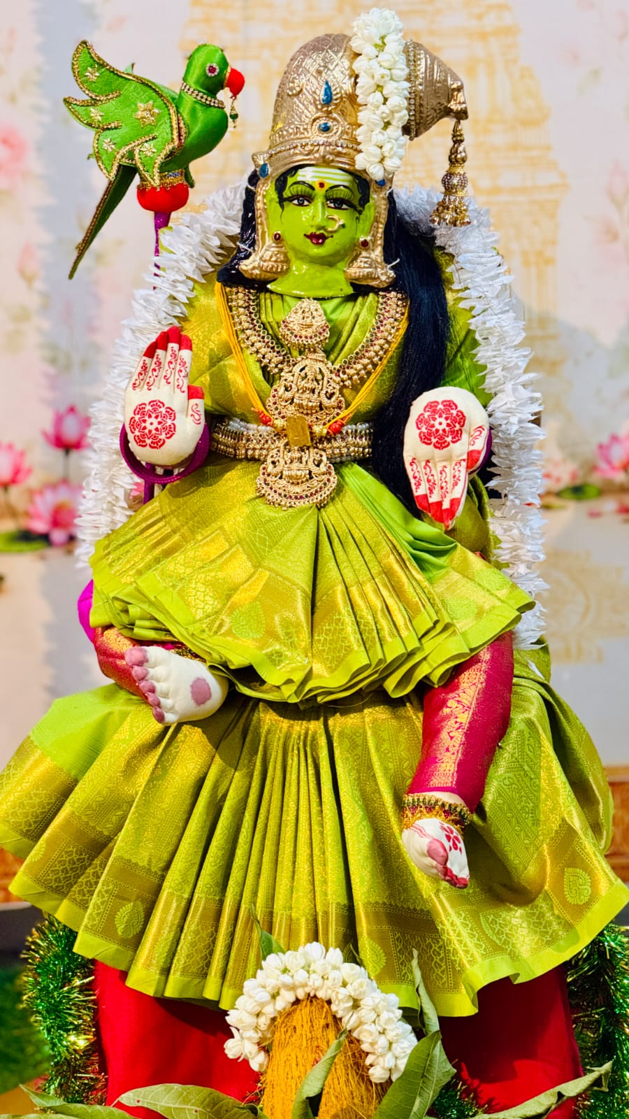 Murugan medical கொலு, Tirunelveli